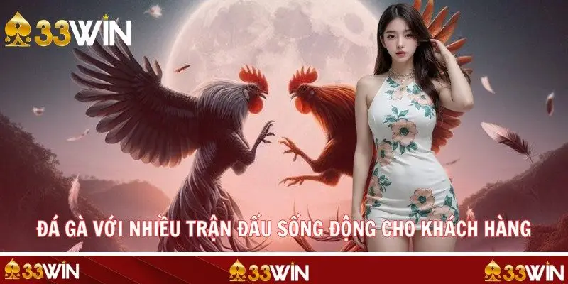 Đá gà với nhiều trận đấu sống động cho khách hàng