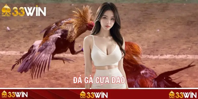 Đá Gà Cựa Dao - Màn Đọ Sức Đỉnh Cao Của Chiến Kê Trên 33WIN