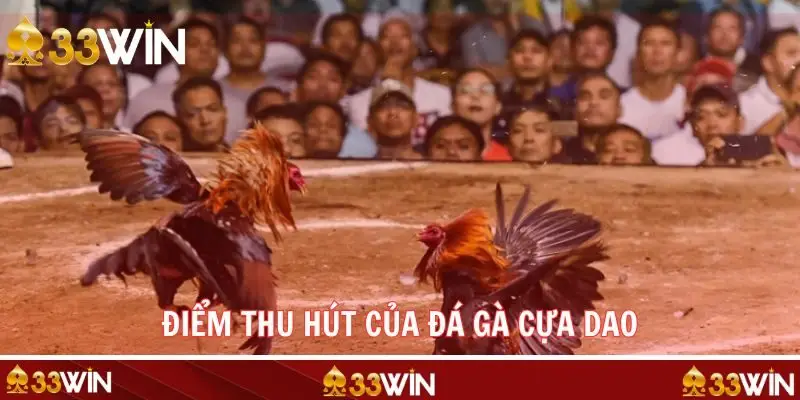 Đặc điểm thu hút của hình thức đá cựa dao