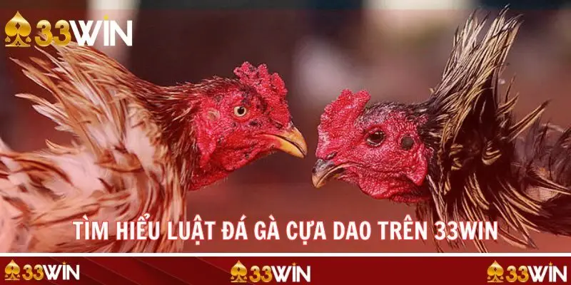 Hiểu rõ luật chơi khi tham gia cá cược