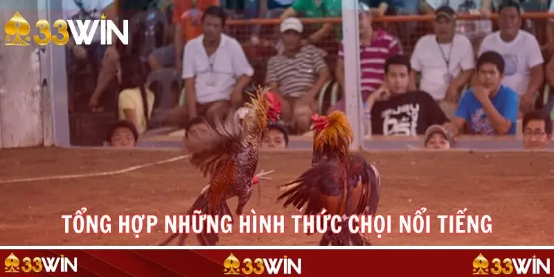 Review chi tiết từng thể thức trong đá gà Philippines