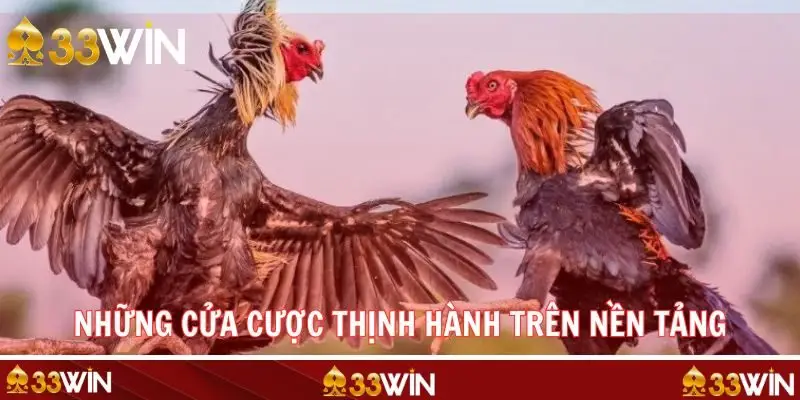 Tổng hợp những cửa cược thịnh hành trên hệ thống