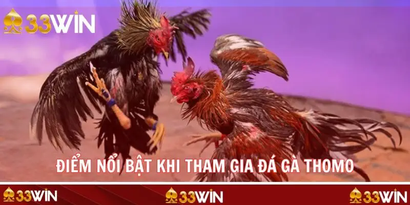Ưu điểm nổi bật khi tham gia kèo độ Thomo